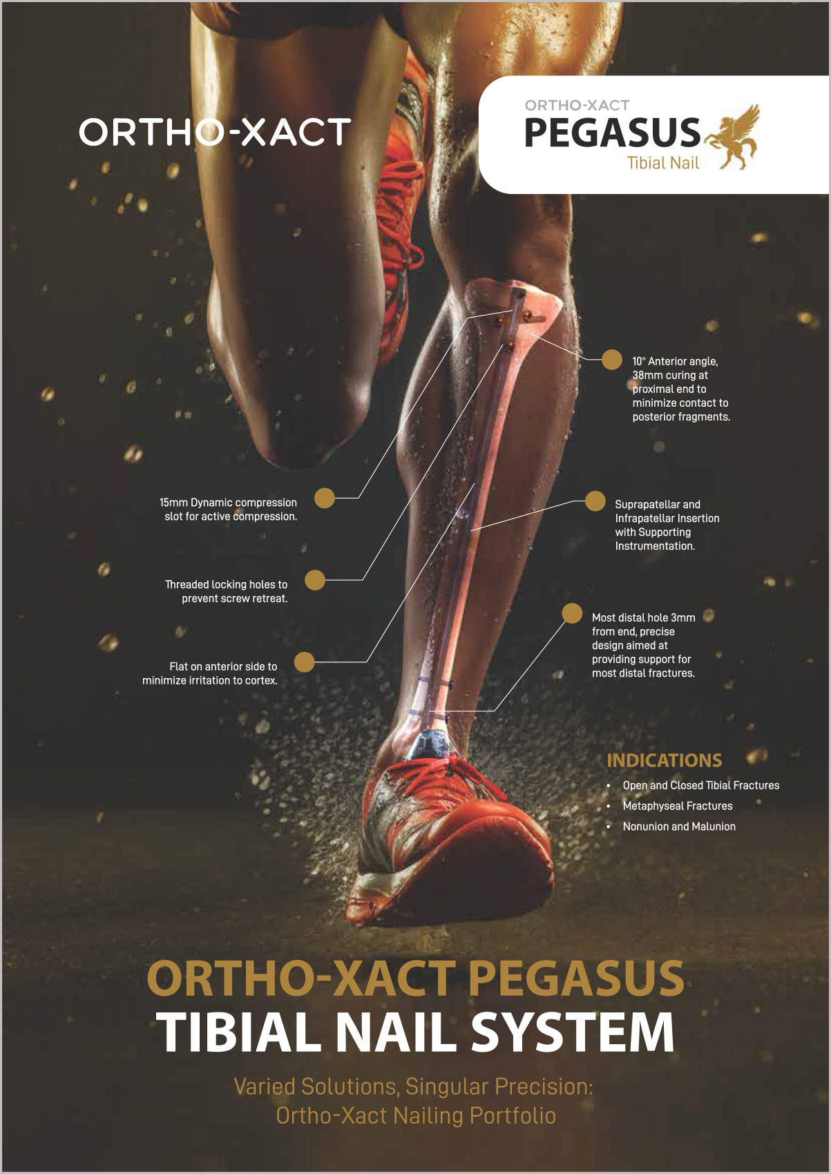 Pegasus Product Image